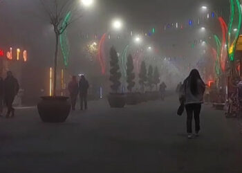 Diyarbakır'da hava trafiğine sis engeli