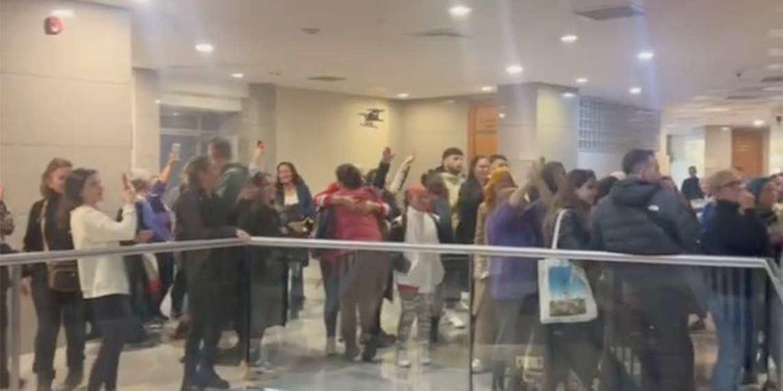 Fatih'te kedileri öldüren sanık gözlem altına alınacak