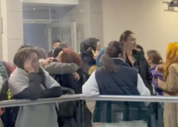 Fatih'te kedileri öldüren sanık gözlem altına alınacak
