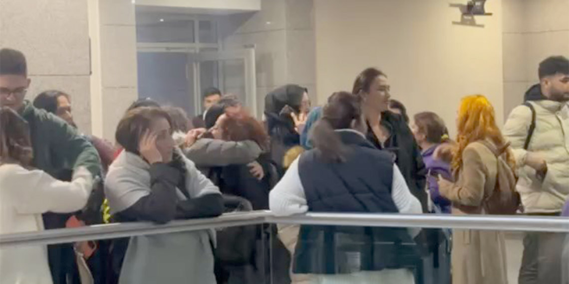 Fatih'te kedileri öldüren sanık gözlem altına alınacak