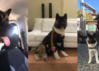 Haki'yi tekmeyle öldüren sanık 'ağızlığı yoktu' dedi