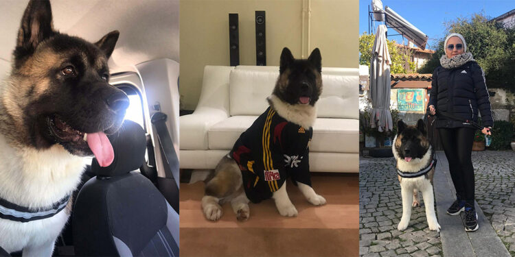 Haki'yi tekmeyle öldüren sanık 'ağızlığı yoktu' dedi