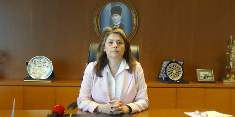 Can Atalay için basın açıklaması