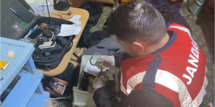 Hayvan hırsızlığı yapan organize suç örgütüne operasyon