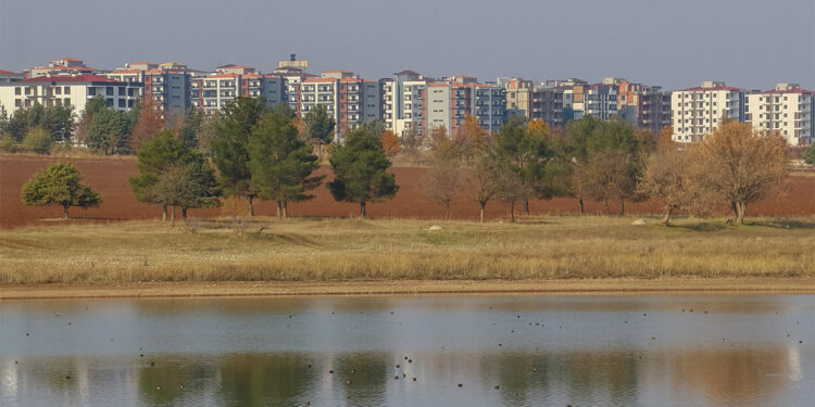 Kabaklı Göleti'ndeki yapılaşma kuş türlerini tehdit ediyor