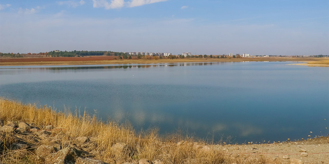 Kabaklı Göleti'ndeki yapılaşma kuş türlerini tehdit ediyor