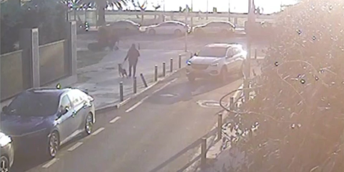 Nazan Burcu Soyyer'in hayatını kaybettiği kazanın görüntüsü ortaya çıktı