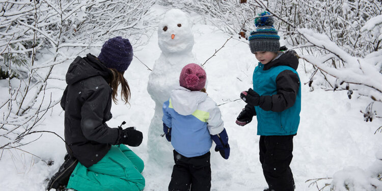 Ardahan'da yarın okullar tatil edildi
