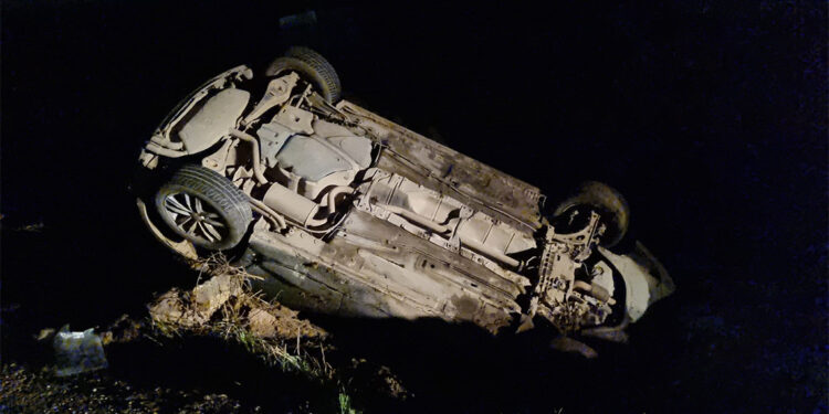 Köpeğe çarpmamak için manevra yaptı; 5 yaralı