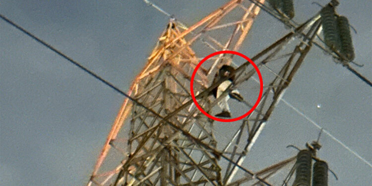 Yüksek gerilim hattı direğine çıkarak kendini ihbar etti