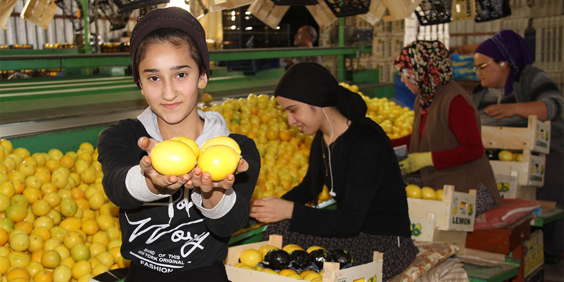 Limonda 1000 TL'lik ihracat teşviki memnun etti