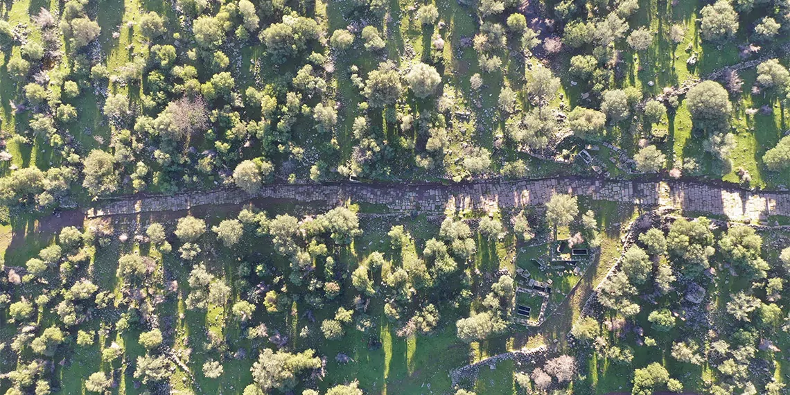 Manisa'da 1900 yıllık antik yol ortaya çıkarıldı