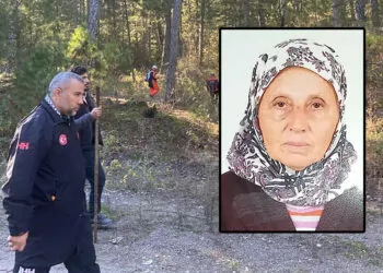 Mantar toplamaya gittiği ormanda kaybolan kadın ölü bulundu