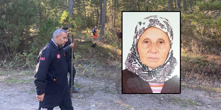 Mantar toplamaya gittiği ormanda kaybolan kadın ölü bulundu