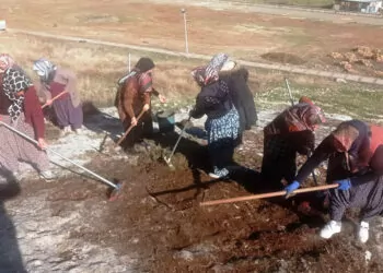 Perre antik kenti'nde süren kazılara 15 kadın personel katılıyor