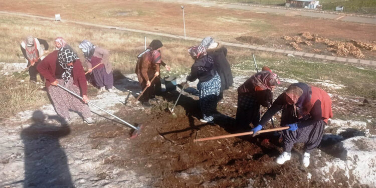 Perre Antik Kenti'nde süren kazılara 15 kadın personel katılıyor