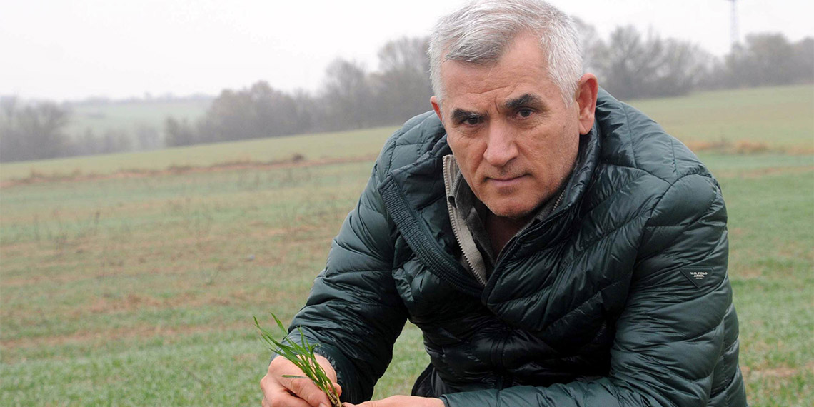 Bu yılki yağışlarla buğdayda olası stres riski ortadan kalktı