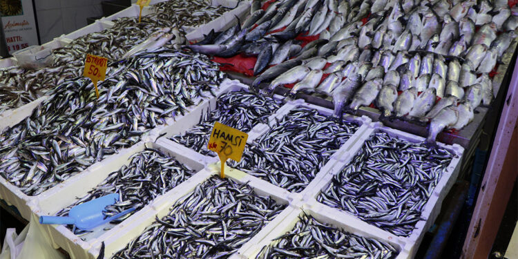 Yılın son günü balıkçı tezgahları hareketlendi