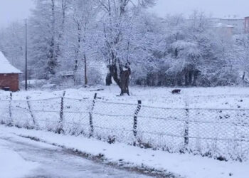 Samsun'un 3 ilçesinde kar yağışı etkili oldu