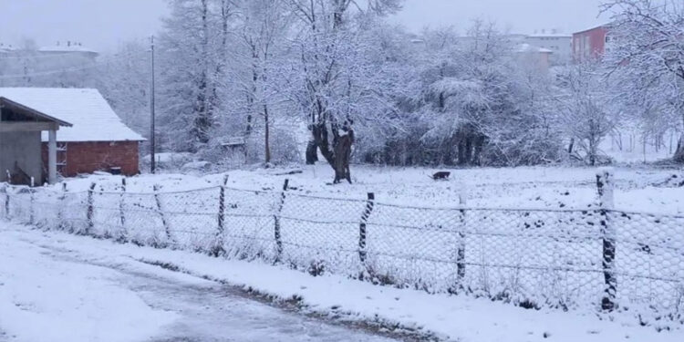 Samsun'un 3 ilçesinde kar yağışı etkili oldu
