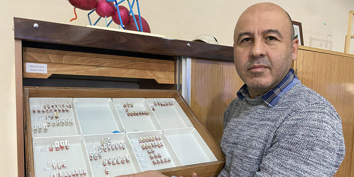 Sivas'ta yeni bir böcek türü bulundu