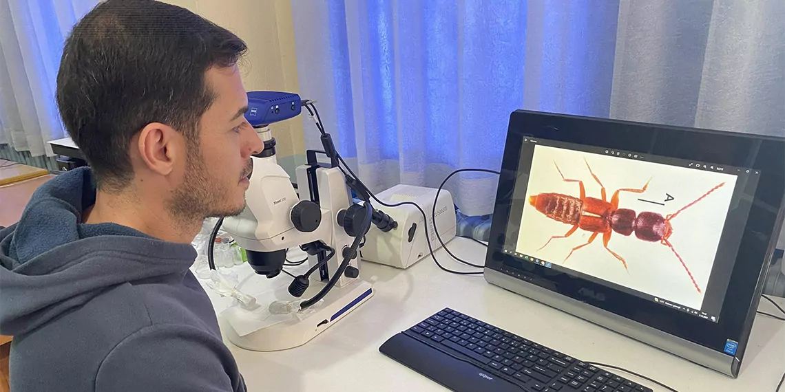 Manisa celal bayar üniversitesi (mcbü) alaşehir meslek yüksek okulu'nda görev yapan prof. Dr. Sinan anlaş ve doç. Dr. Semih örgel tübi̇tak destekli bir proje çalışmasında sivas'ta yeni bir böcek türü buldu.