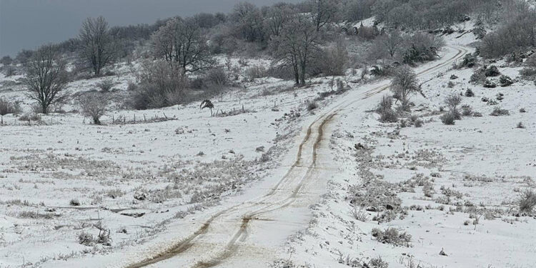 Ganos Dağı ve etekleri beyaz örtüyle kaplandı