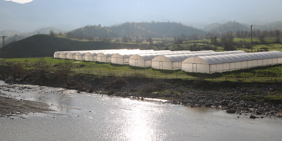 Terörden temizlenen Derecik'te 120 sera açıldı