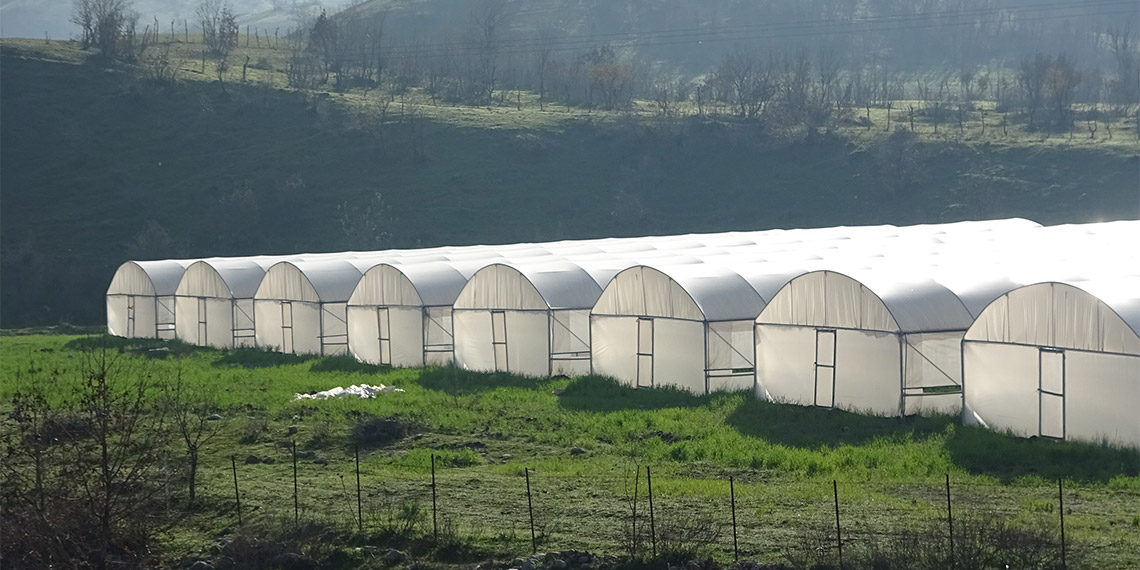 Terörden temizlenen Derecik'te 120 sera açıldı