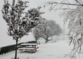 Tunceli'de kar yağışı etkili oldu