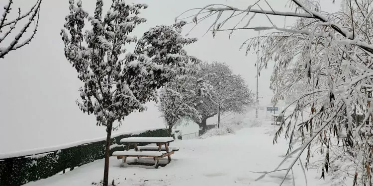 Tunceli'de kar yağışı etkili oldu