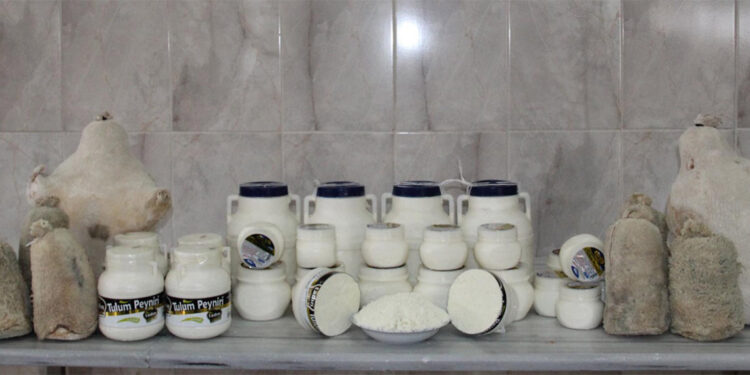 Türkiye'nin geleneksel peynir envanteri ve turizm potansiyelini ortaya çıkardılar