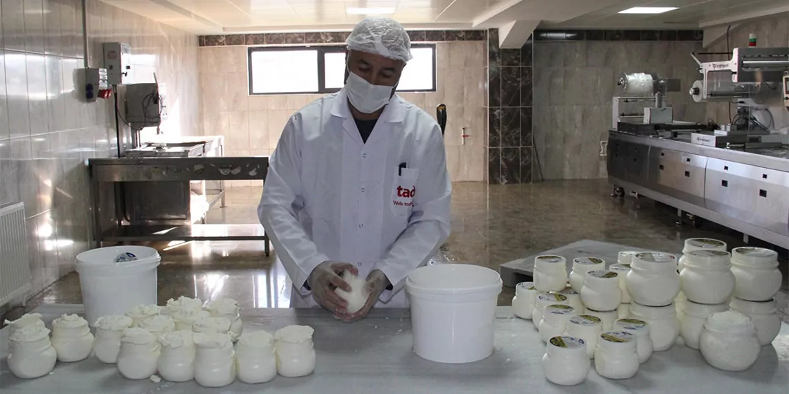 Türkiye'nin peynir envanteri peynir turizmi potansiyelini ortaya çıkardı