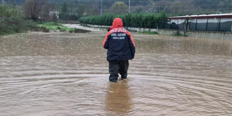 Yalova'da kuvvetli yağışta dere taştı, evler su altında kaldı