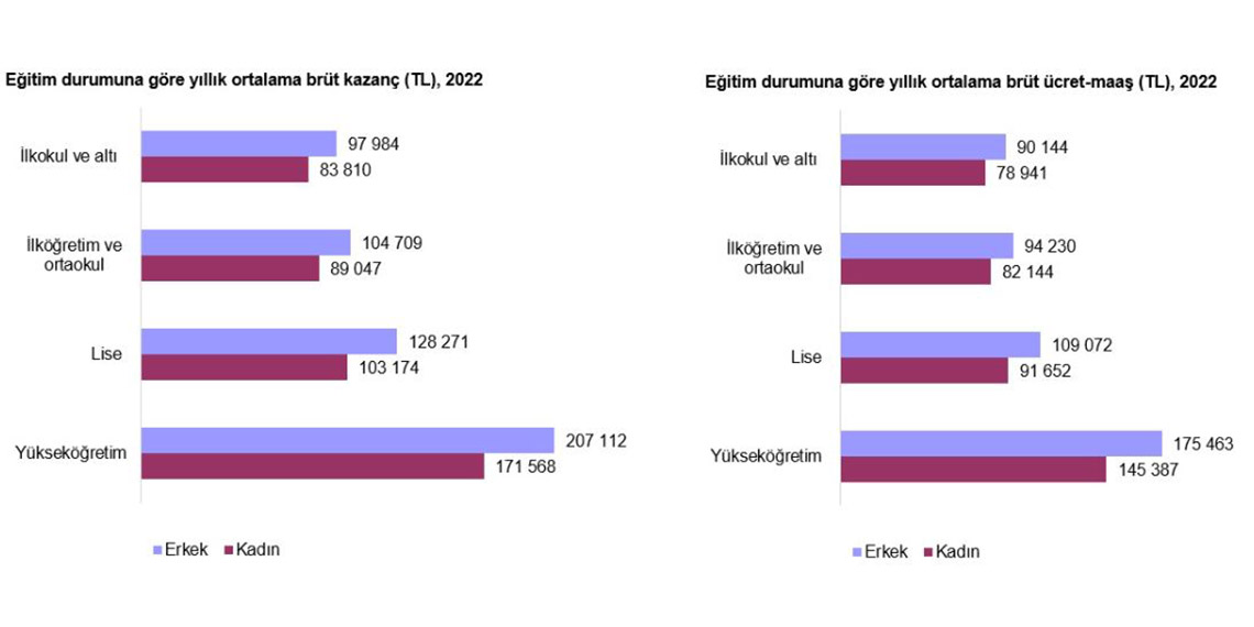 TÜİK, en yüksek kazanç getiren meslekleri açıkladı