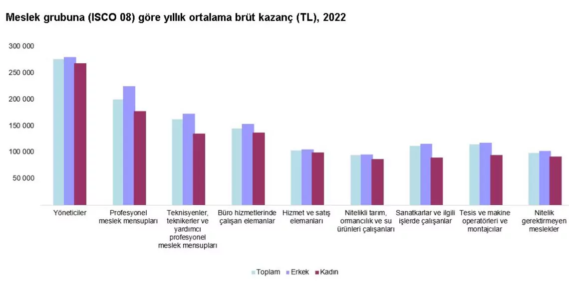 Türkiye i̇statistik kurumu (tüi̇k), 2022'de en yüksek kazanç getiren mesleklerin kazanç yapısı istatistiklerini açıkladı.