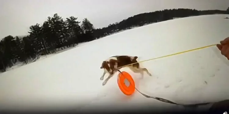Abd'de donmuş göle düşen adamı, köpeği kurtardı