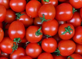 Başkentliler 2023 yılında en çok domates ve karpuz tüketti