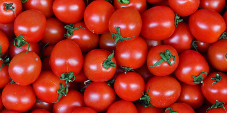 Başkentliler 2023 yılında en çok domates ve karpuz tüketti