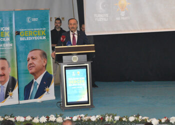 Abdullah Erin: Mardin, hak ettiği noktada değil