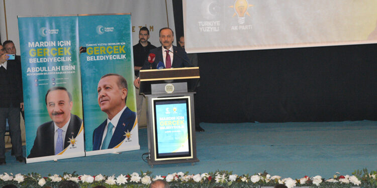 Abdullah Erin: Mardin, hak ettiği noktada değil