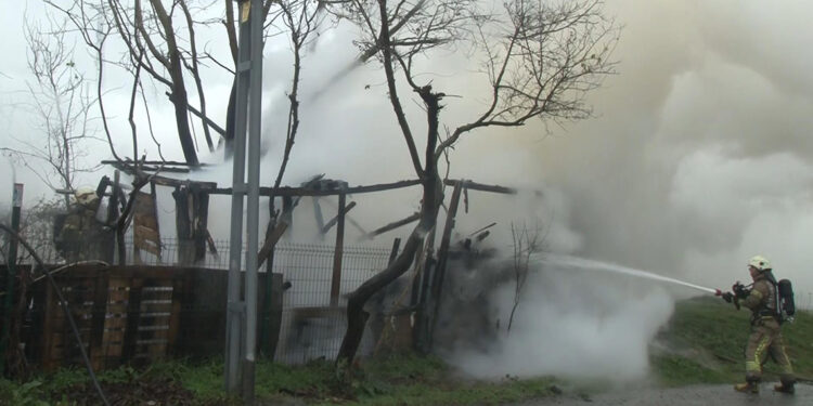 Ahırdaki sobadan yangın çıktı: 8 koyun telef oldu