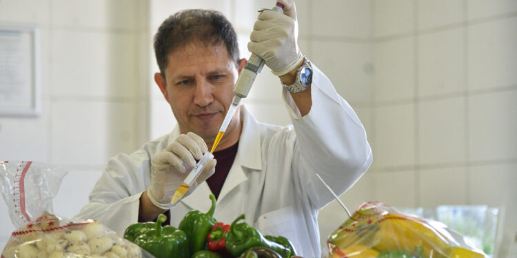 Antalya'da yetiştirilen ürünlere 32 bin analiz yapıldı