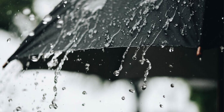 Aralık yağışları yüzde 89 arttı