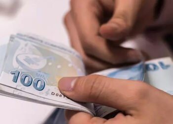 Aralıkta en yüksek getiri sağlayan DİBS oldu