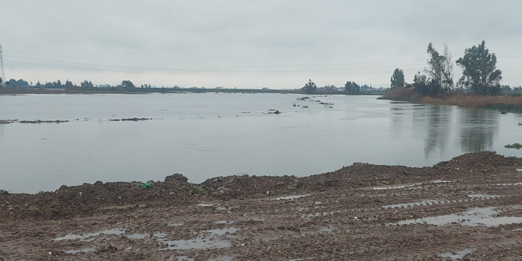 Asi Nehri taştı; tarım arazileri su altında kaldı