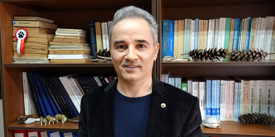 Aşırı yemlenen yaban hayvanlarında 'evcilleşme' tehlikesi