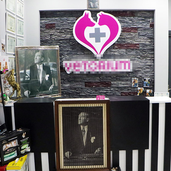 Atatürk'e hakarete 4 büyük Atatürk tablosuyla cevap verdiler