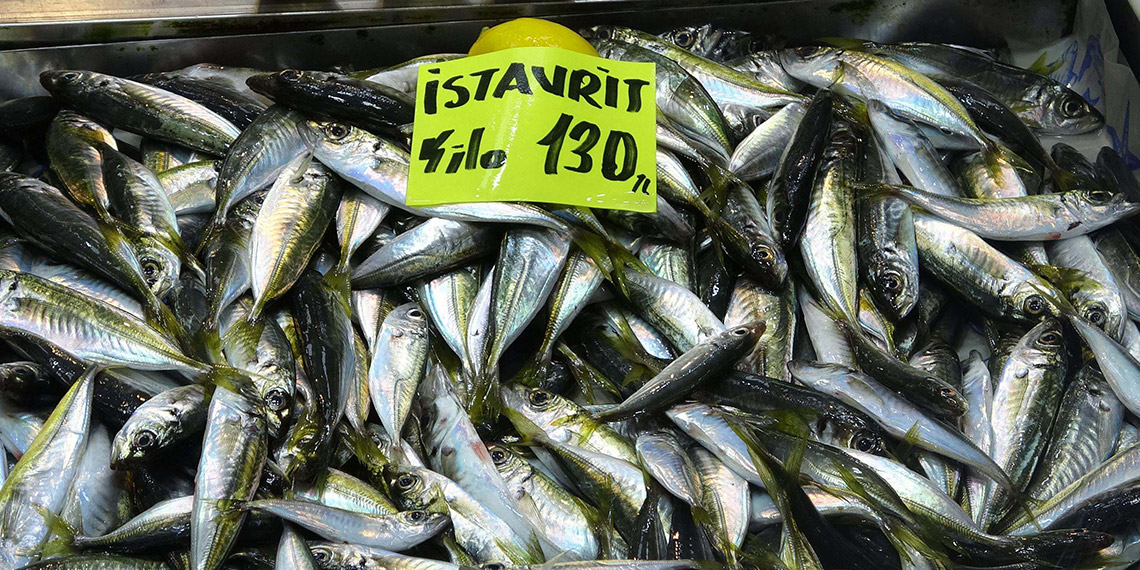 'Balık sezonunda sıcaklığa bağlı olarak bir kayma görüyoruz'