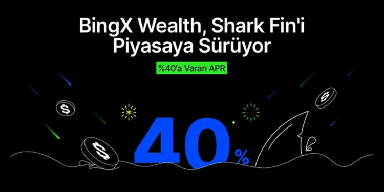 Bingx wealth, shark fin'i piyasaya sürüyor